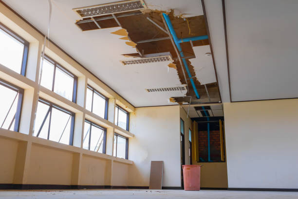 Best Carpet water damage restoration  in Warsaw, MO