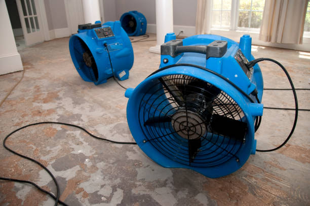 Best 24/7 water damage repair  in Warsaw, MO