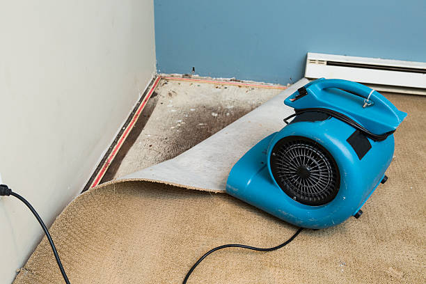 Best Flood restoration services  in Warsaw, MO